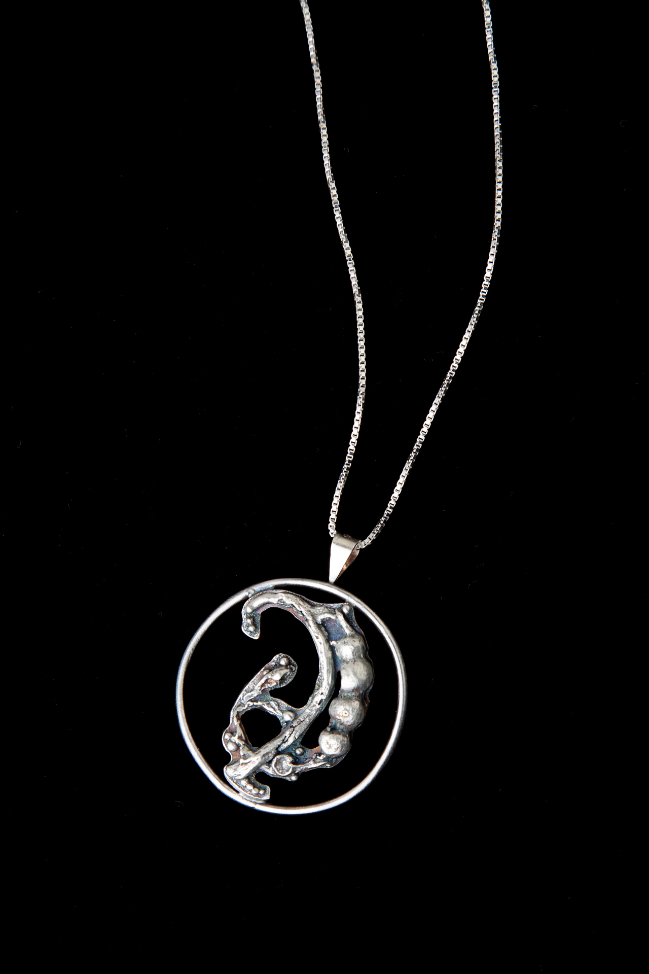 Seaweed form cast in silver, held in a circle pendant on a box chain